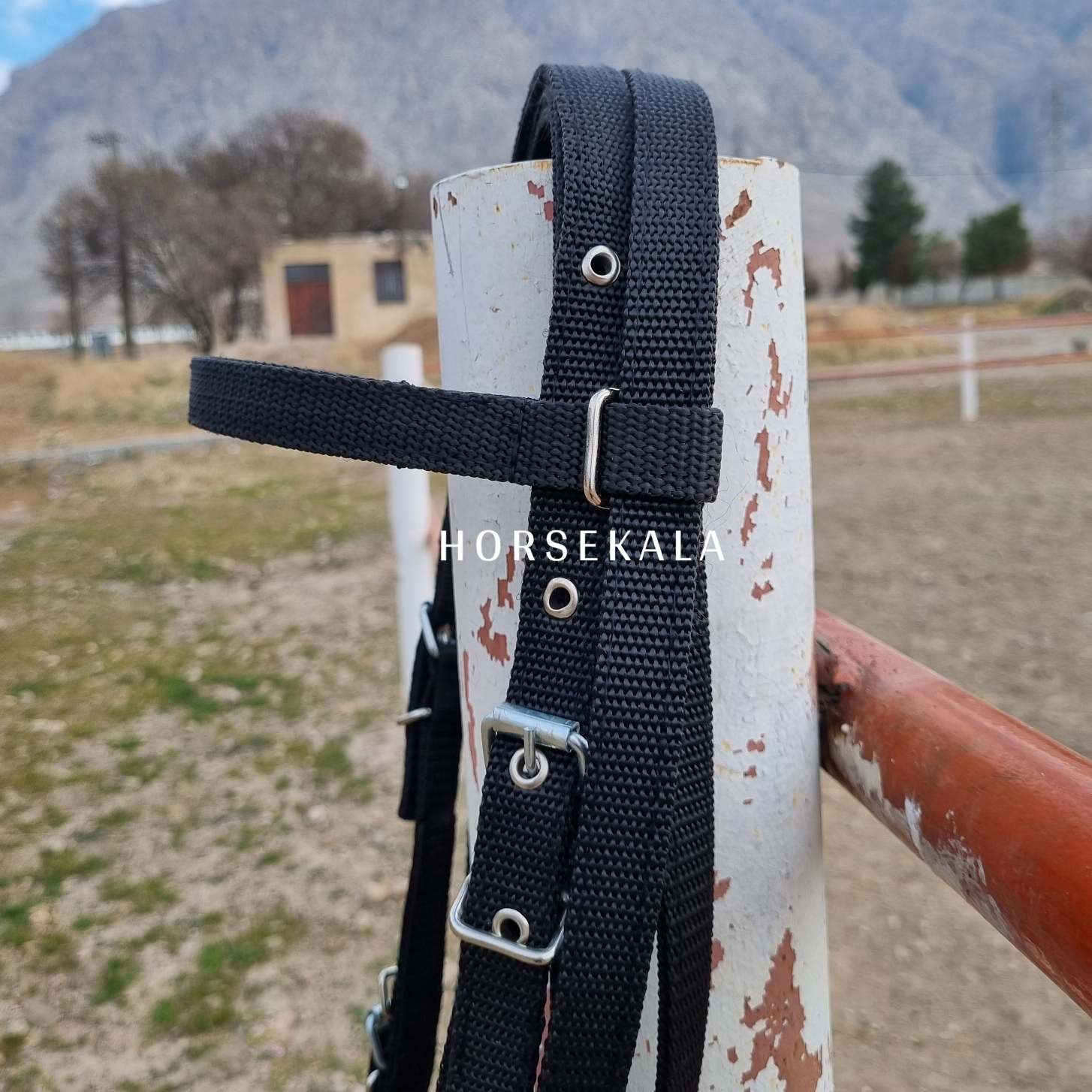 2-افسار و دستجلو برزنتی ساده