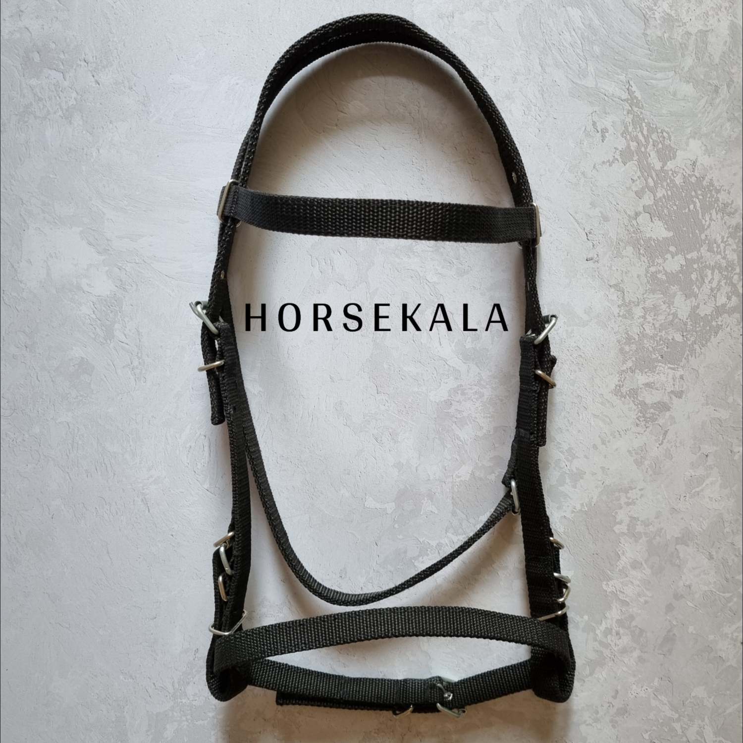 Simple nylon bridle and rein