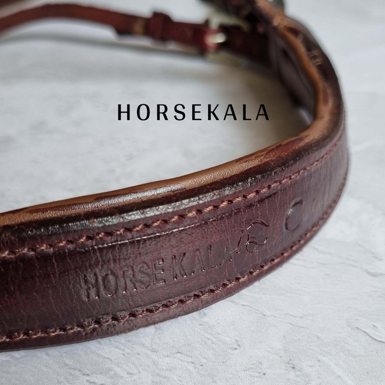 3-افسار فلش نوزبند چرمی