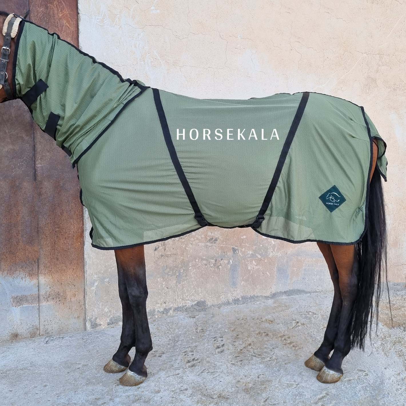 Full cover mesh Fly Sheet