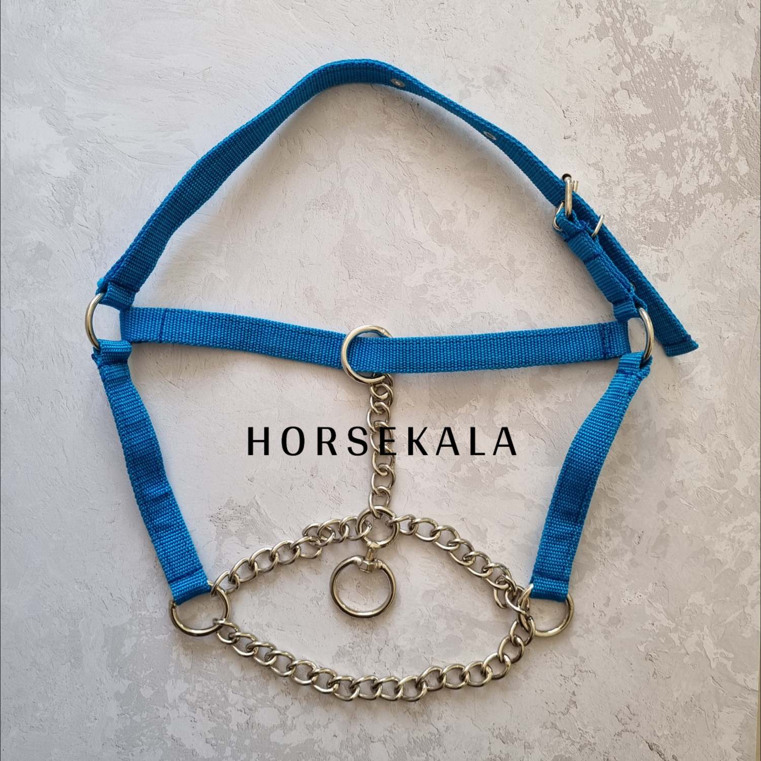 1-کلگی سرآخور زنجیری