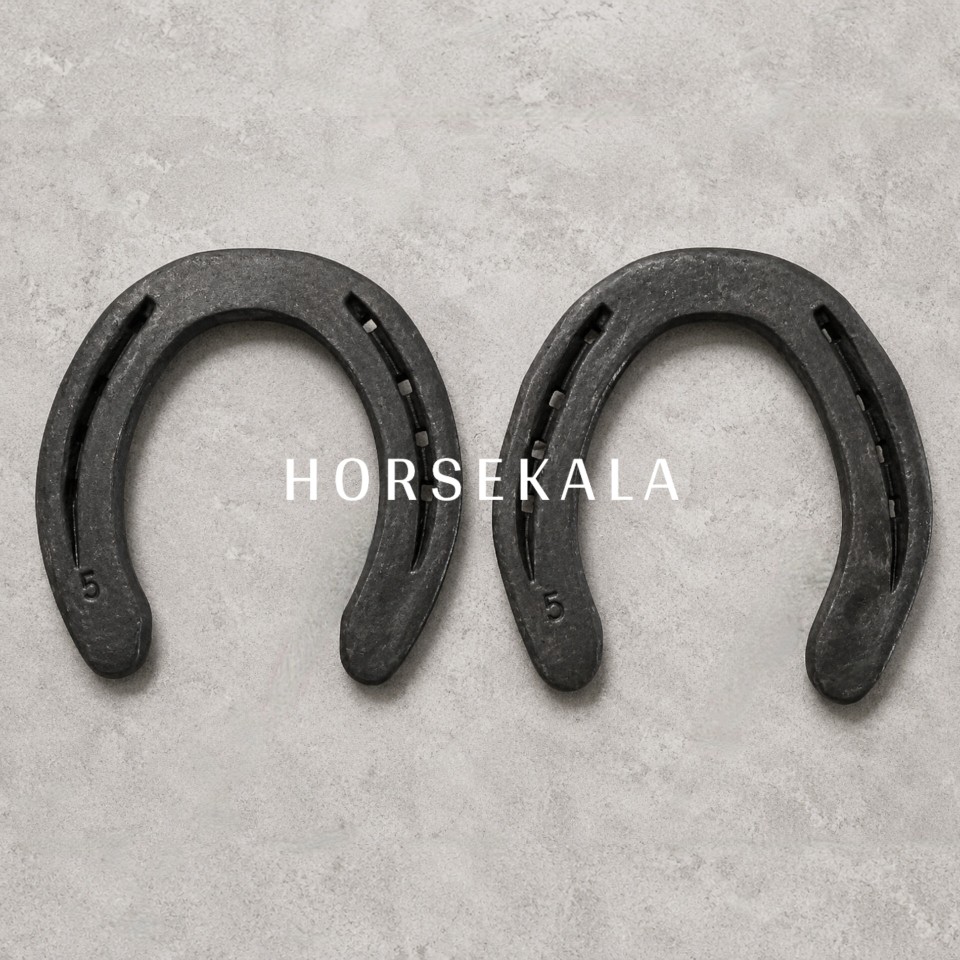 Horseshoe